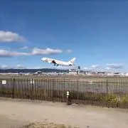 マイマイの画像
