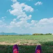 Jiccoの画像
