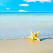 チルノ