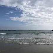 ぽよよ