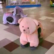 えびの画像