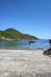 かもの画像