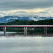 みっきー(土日祝の発送返信不可)