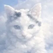 おもちの画像