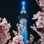 Hikaruの画像