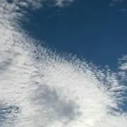 殊に