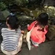 nana'sの画像