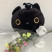 むーたの画像