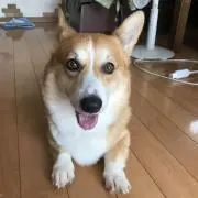 もりじゅん
