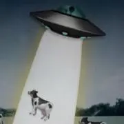 みこしの画像