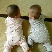 のんたん