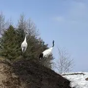瑛銀の画像