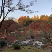 シロ
