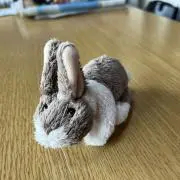 ぴょんこの画像