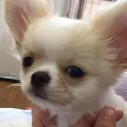 emi❤︎プロフ確認お願いしますの画像