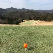 きむきむの画像