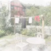 miiの画像
