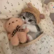 mの画像