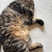 ゆる断捨離屋の画像