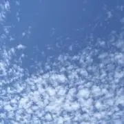 BV10の画像
