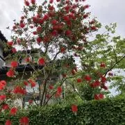 エンジェル