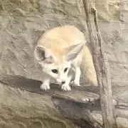 kotohaの画像