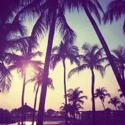 sunif