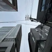 金欠大学生の画像