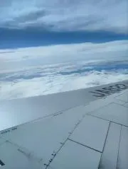 きしりの画像