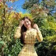 606の画像