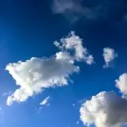 ぴーちこ
