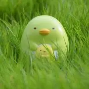 理央の画像
