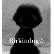 Birkindog☆