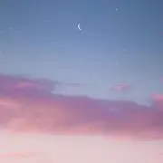 ヒの画像