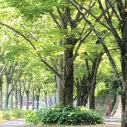 ニック