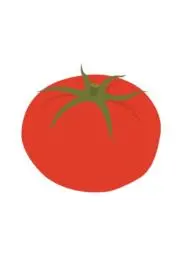 とまとの画像