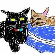 こんぶの画像