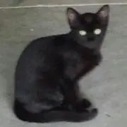 R K