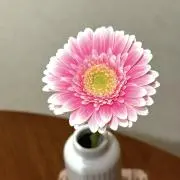 みーしょっぷ ꒰ঌ♡໒꒱の画像