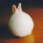 ☆ナナ☆