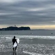 shigesoの画像