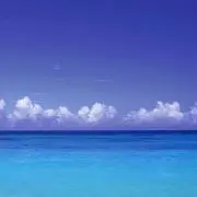 ゆうきの画像