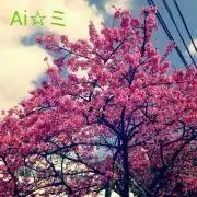 a--ta＠洋服整理中！の画像