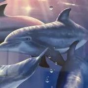 むぽにもの画像