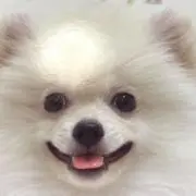 マイの画像
