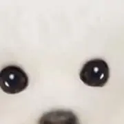 こうの画像