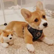 アンみのお部屋の画像