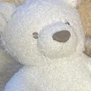 断捨離中。の画像