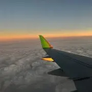 はーくんの画像