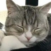 はるかの画像